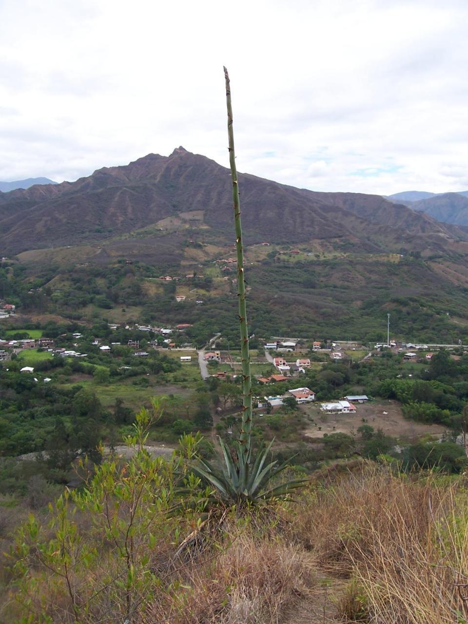 Rumi Wilco Ecolodge&Nature Reserve Vilcabamba Exterior foto