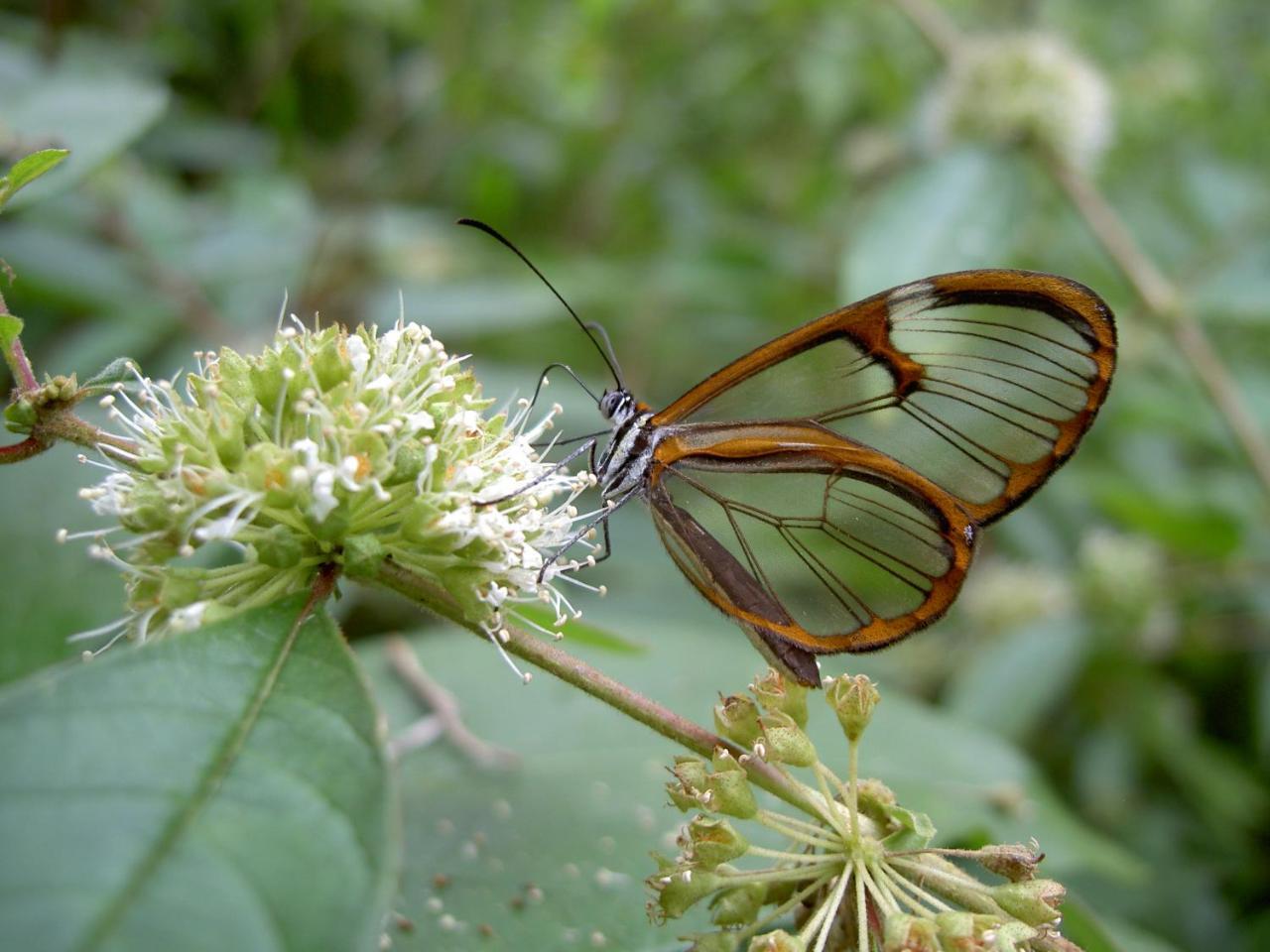 Rumi Wilco Ecolodge&Nature Reserve Vilcabamba Exterior foto