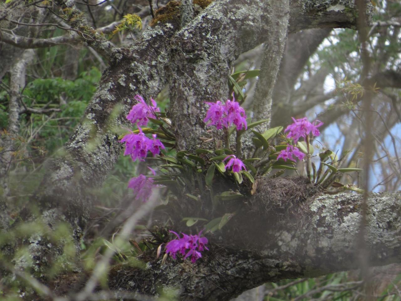 Rumi Wilco Ecolodge&Nature Reserve Vilcabamba Exterior foto