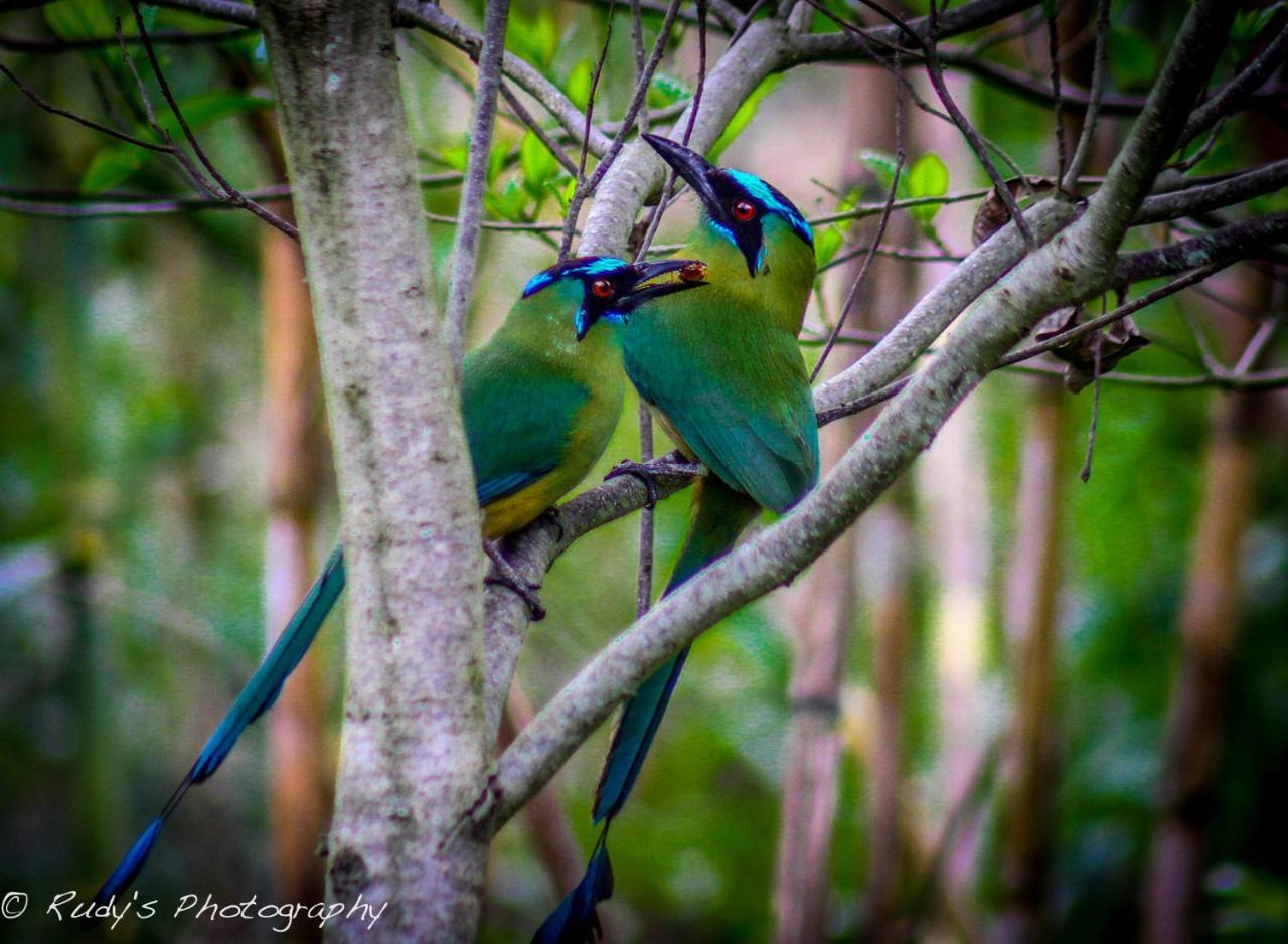 Rumi Wilco Ecolodge&Nature Reserve Vilcabamba Exterior foto